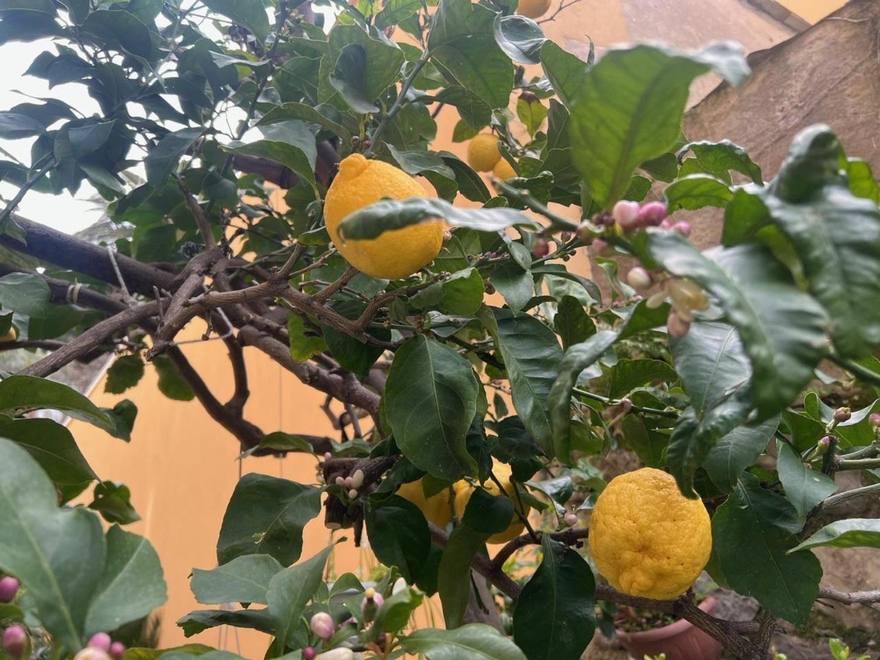 Appartamento vicino al mare Moneglia Esterno foto